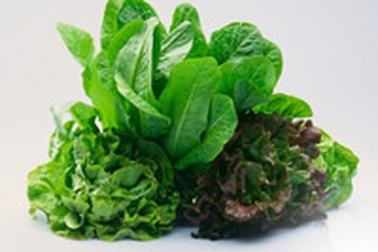 Nên bổ sung axit folic 1 năm trước khi có bầu 