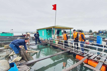 Quảng Ninh sẽ tiêu hủy phương tiện thủy không đăng ký, đăng kiểm