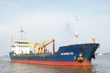 12 thuyền viên trên tàu đang neo đậu ở cảng Vũng Tàu dương tính SARS-CoV-2