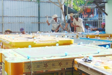 Tiêu hủy hàng chục máy game bắn cá không rõ nguồn gốc