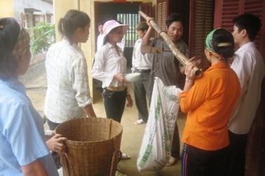 Cấp 1.000 tấn gạo cứu trợ các huyện gặp khó khăn vùng lũ