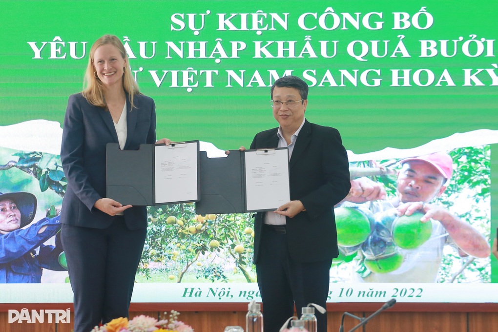 Quả bưởi tươi Việt Nam chính thức được xuất khẩu sang Mỹ - 1 Quả bưởi tươi Việt Nam chính thức được xuất khẩu sang Mỹ - 1