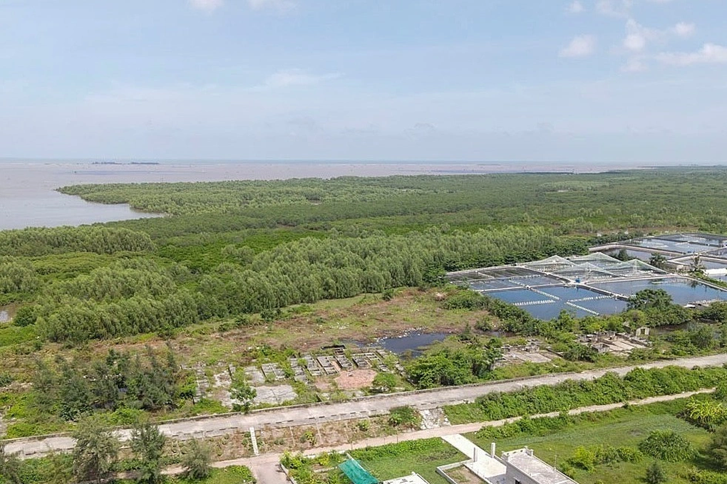 Hệ lụy nếu Thái Bình xóa sổ hơn 11.000 ha khu bảo tồn thiên nhiên - 1 Hệ lụy nếu Thái Bình xóa sổ hơn 11.000 ha khu bảo tồn thiên nhiên - 1
