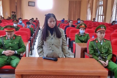 "Nữ quái" lĩnh án vì lén đưa 3 người Trung Quốc nhập cảnh trái phép