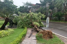 Vì sao Hà Nội, Quảng Ninh mưa dông lớn dù chưa ảnh hưởng bão?