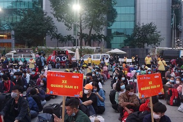 Tạo điều kiện tiếp nhận người từ TPHCM về quê để giải tỏa cho thành phố