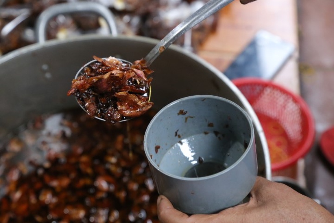 Quán ốc hút gần 3 thập kỷ ở Hội An, bà chủ ngày bán hơn nửa tấn - 8 Quán ốc hút gần 3 thập kỷ ở Hội An, bà chủ ngày bán hơn nửa tấn - 8