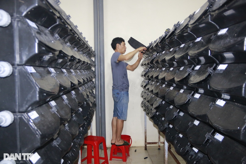 Mục sở thị chung cư mi ni nuôi cua biển giữa phố của chàng trai 9X - 1 Mục sở thị chung cư mi ni nuôi cua biển giữa phố của chàng trai 9X - 1