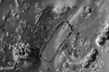 Mỹ không kích nhóm vũ trang Houthi tại Yemen