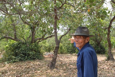 Bình Định: Thiếu đất sản xuất, dân “xin” lại đất dự án treo