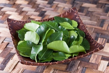 Lá chanh ở Việt Nam chỉ để ăn với thịt gà luộc, sang châu Âu bán 6,3 triệu đồng/kg