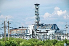 Bí ẩn Chernobyl: Loài vật thách thức phóng xạ, mở ra cánh cửa khoa học