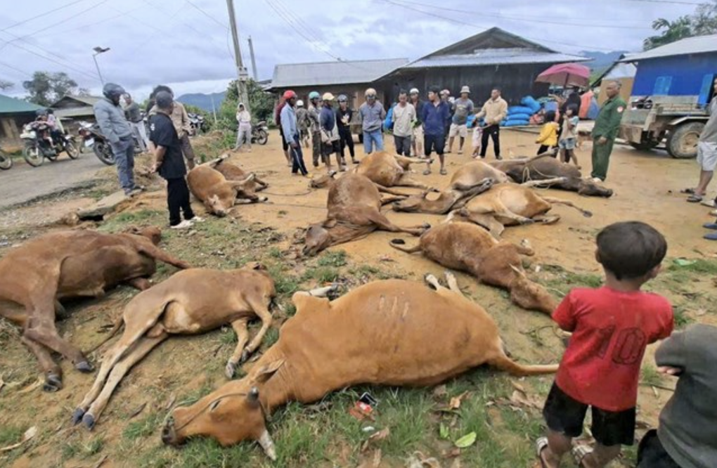 Dùng máy bay không người lái cứu nạn nhân bị lũ cô lập ở Lâm Đồng - 2