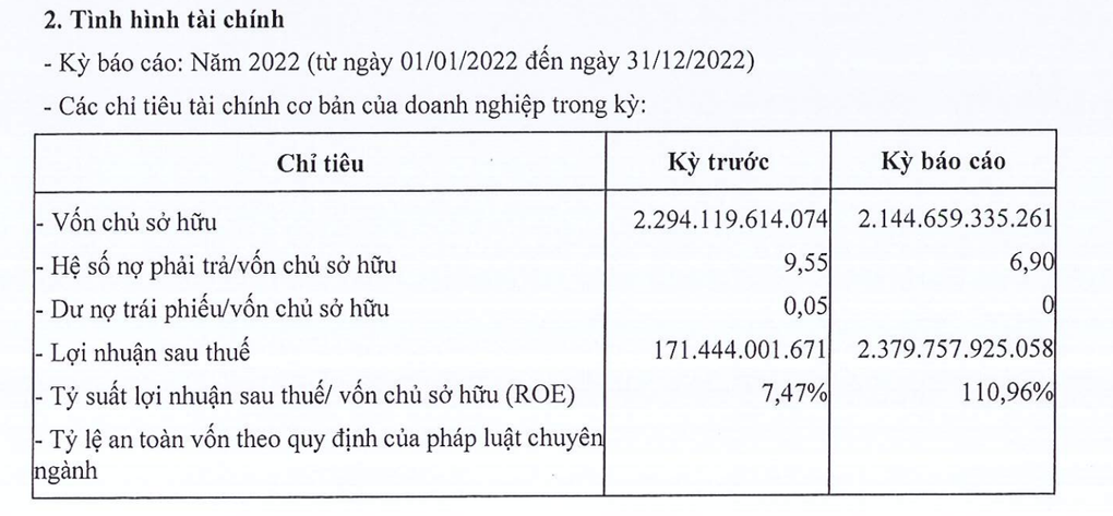 Lãi khủng, công ty địa ốc rót vốn thành cổ đông lớn của công ty hàng không - 2 Lãi khủng, công ty địa ốc rót vốn thành cổ đông lớn của công ty hàng không - 2