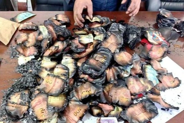 Một tỷ đồng tiết kiệm bị cháy đen, người đàn ông đưa đến ngân hàng cầu cứu