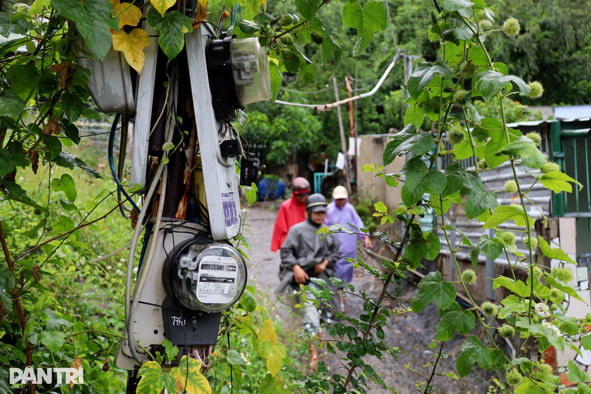 Sơ tán khẩn cấp hàng trăm hộ dân xóm Núi, nơi từng sạt lở làm 11 người chết - 8