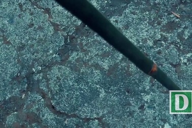 Mẹo chế máy tỉa cây cực dễ