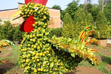 Những linh vật ngày Tết được làm bằng cây kiểng “siêu độc”