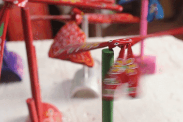 Ngôi làng sản sinh ra hàng triệu con chuồn tre "độc nhất" ở Hà Nội