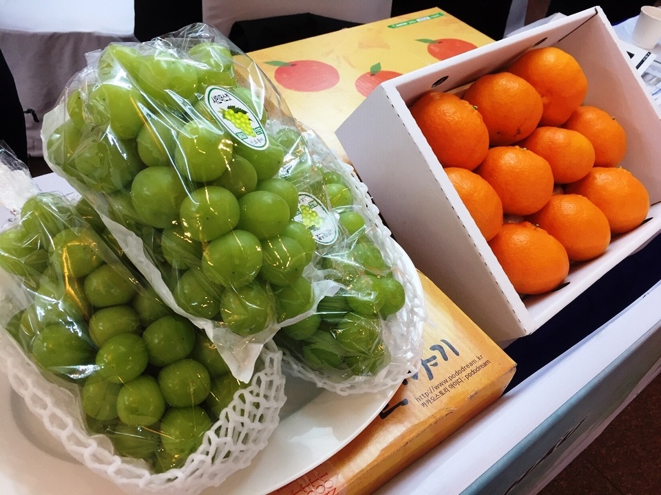 Hàn Quốc muốn bán thêm nhiều nho, lê, táo, nhân sâm…sang Việt Nam - 2 Hàn Quốc muốn bán thêm nhiều nho, lê, táo, nhân sâm…sang Việt Nam - 2