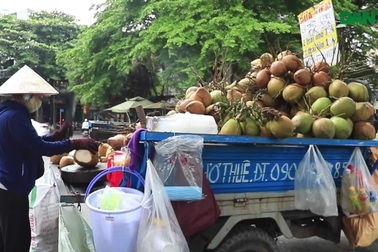 Bán dừa dạo kiếm tiền triệu mỗi ngày