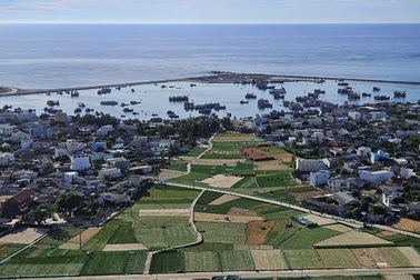 "Bất cứ ai đến Lý Sơn đều mang tỏi Lý Sơn về làm quà"
