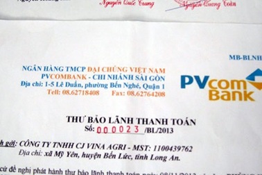 Lừa đảo hàng trăm triệu đồng bằng chứng thư ngân hàng giả mạo