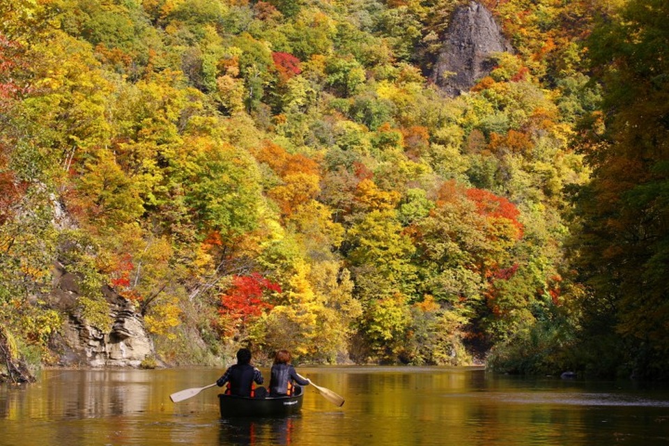 Những địa điểm ngắm lá đỏ mùa thu đẹp nhất Nhật Bản - 1