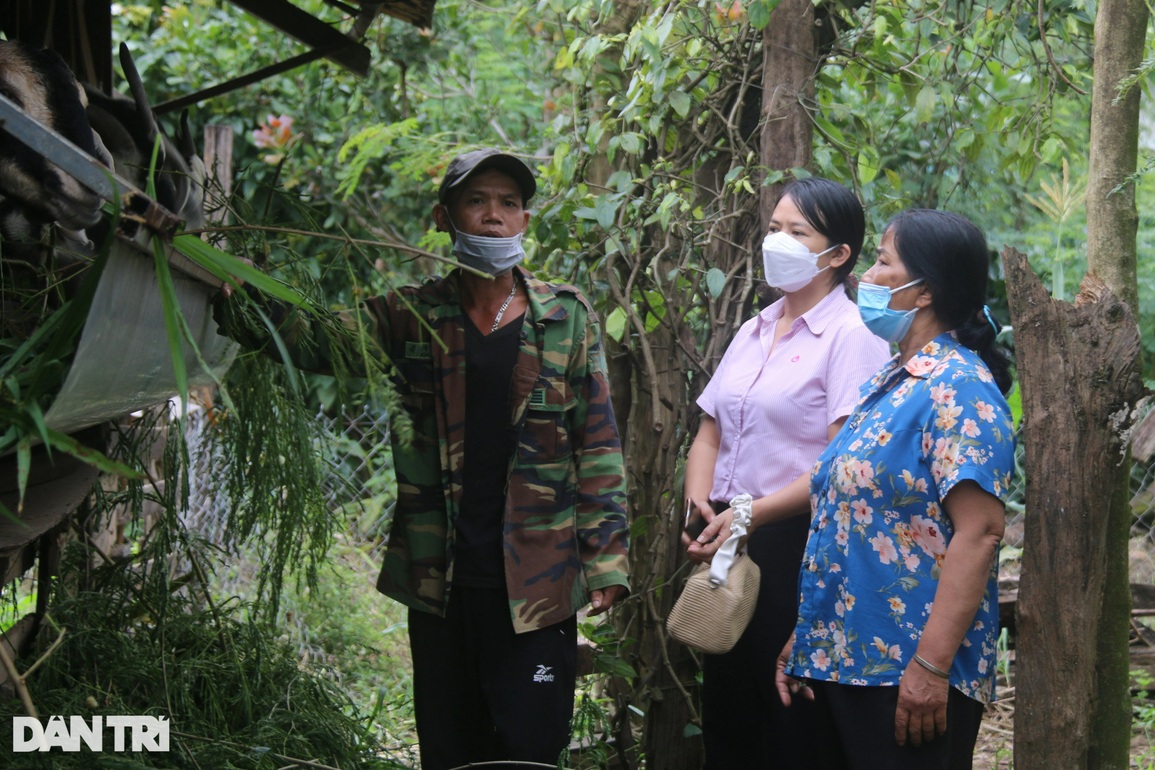Chuyện về người từng vướng 7 năm lao lý, nay đã sống khỏe nhờ nuôi dê - 2 Chuyện về người từng vướng 7 năm lao lý, nay đã sống khỏe nhờ nuôi dê - 2