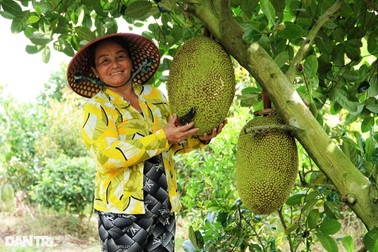 Trồng cây xen canh nuôi cá, "đút túi" cả tỷ đồng mỗi năm