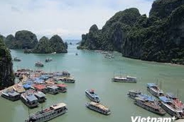 Quảng Ninh: Một tàu du lịch bị dừng hoạt động trên vịnh Hạ Long