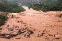 Miền Trung tiếp tục mưa to, cảnh báo lũ quét và sạt lở đất