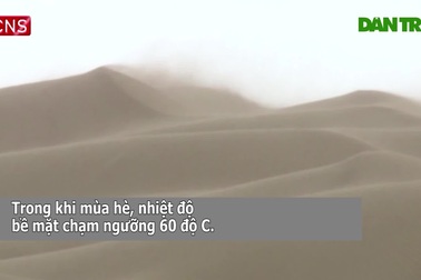 Người phụ nữ dành cả thanh xuân phủ xanh sa mạc