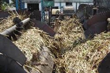 Đầu tư hơn 260 tỷ để "biến" bã mía thành điện