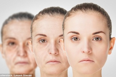 Giảm 15% calo, lợi đủ đường