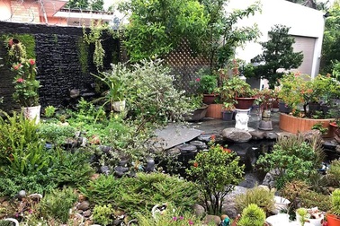 Bỏ phố về quê, mẹ đảm ở Bình Dương làm nhà vườn, trồng rau nuôi cá