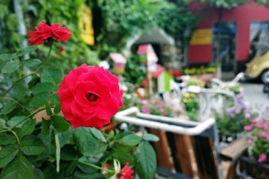 Thể hiện phong cách “pro” với Nokia 808