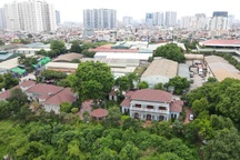 Chuyển mục đích sử dụng đất căn cứ quy hoạch nào?