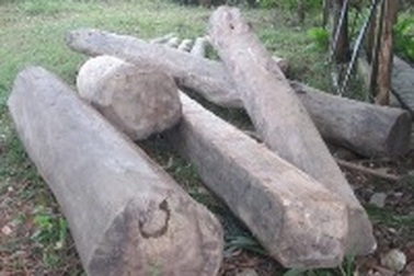 Bị truy bắt, lâm tặc gọi đồng bọn đe dọa kiểm lâm