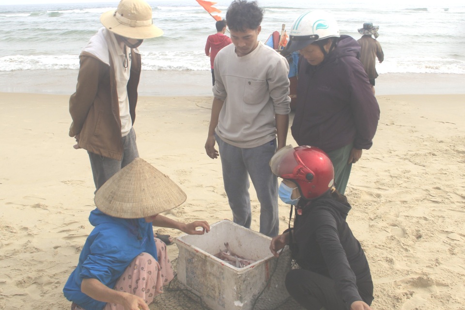 Giáp Tết Nguyên đán, ngư dân vùng bãi ngang vươn khơi chuyến cuối năm - 6 Giáp Tết Nguyên đán, ngư dân vùng bãi ngang vươn khơi chuyến cuối năm - 6