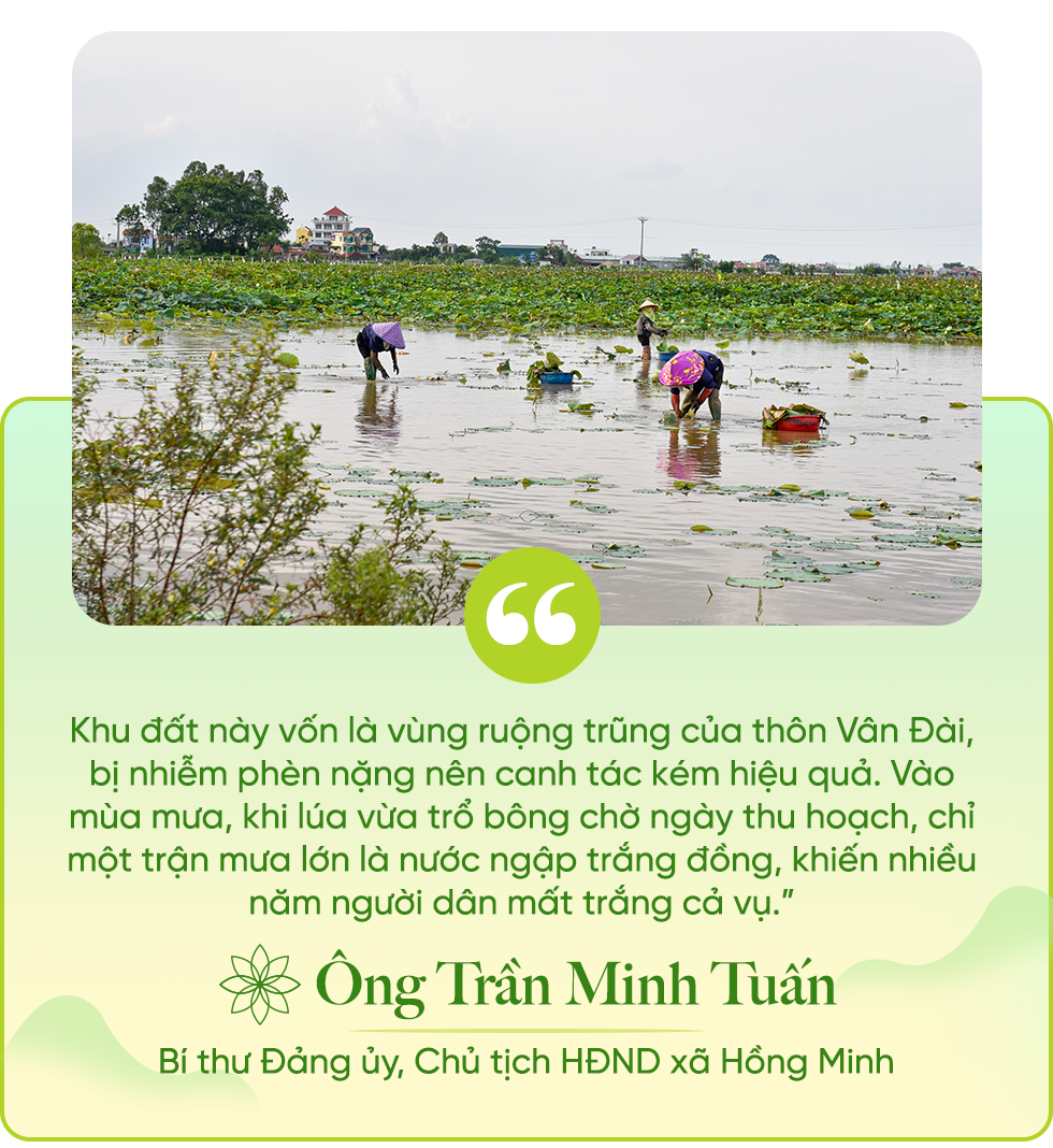 Hoa sen vươn mình giữa đất cằn để những miền quê Việt thêm nhà lầu, xe hơi - 13 Hoa sen vươn mình giữa đất cằn để những miền quê Việt thêm nhà lầu, xe hơi - 13