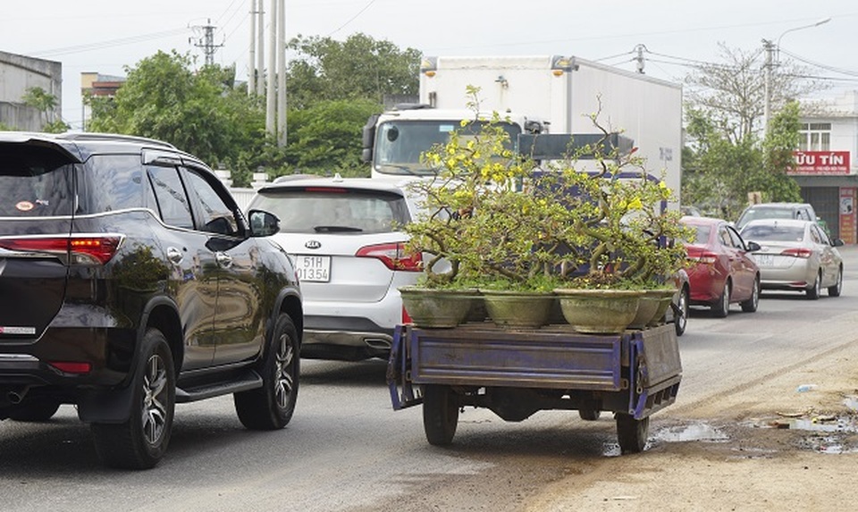 Dân buôn hoa Tết lỗ méo mặt, dịch vụ rửa xe tăng giá gấp 4 lần - 3 Dân buôn hoa Tết lỗ méo mặt, dịch vụ rửa xe tăng giá gấp 4 lần - 3
