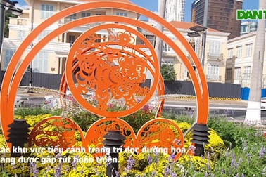 Đàn hổ đủ màu sắc "xuống" đường hoa Đà Nẵng