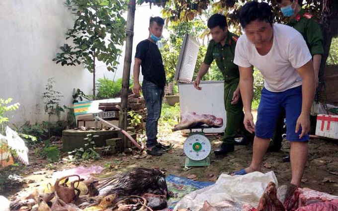 Phạt 330 triệu đồng đối tượng tàng trữ, mua bán động vật rừng
- Ảnh 1. Phạt 330 triệu đồng đối tượng tàng trữ, mua bán động vật rừng
- Ảnh 1.