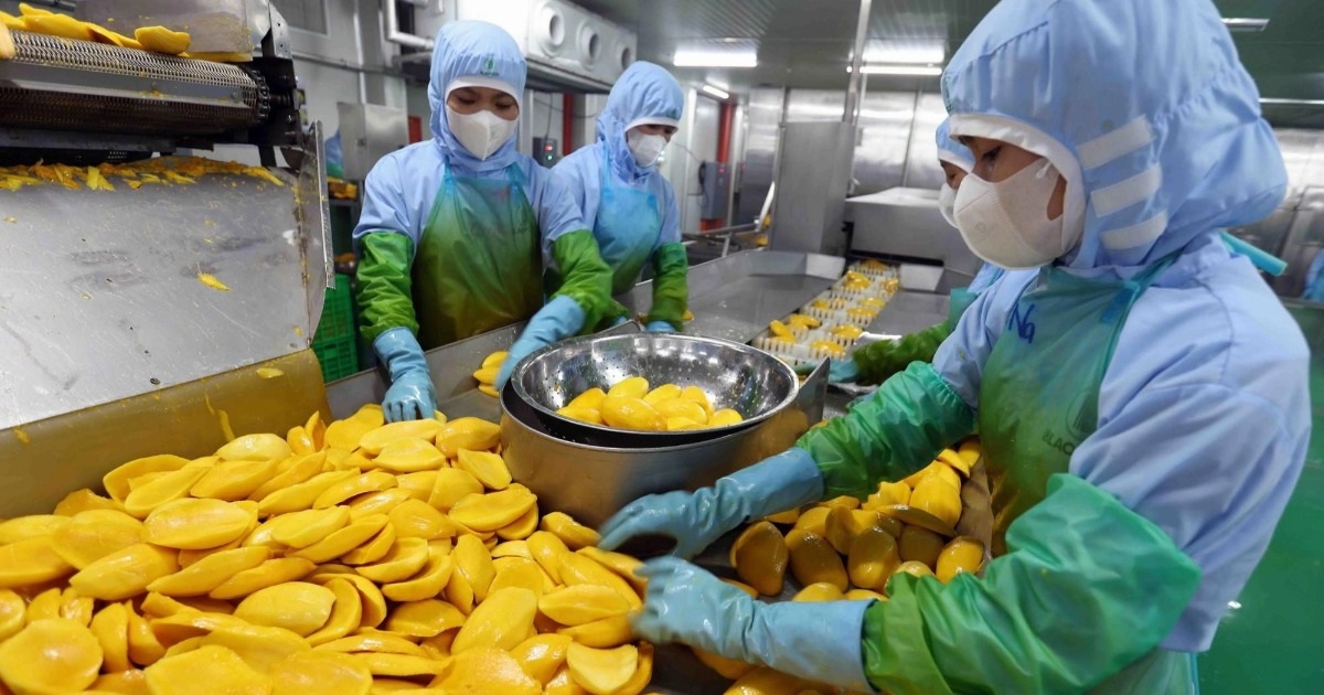 Tư tưởng Hồ Chí Minh về doanh nhân và sự vận dụng vào phát triển kinh tế tư nhân