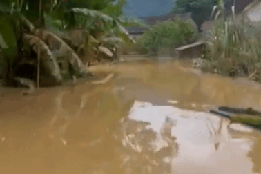 Cụ bà 85 tuổi thoát chết trong lũ nhờ chiếc nệm hơi