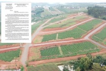 Nở rộ dự án ma, Lâm Đồng tạm dừng phân lô tách thửa