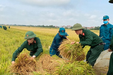 Bộ đội căng mình giữa nắng nóng giúp dân gặt lúa, sửa nhà