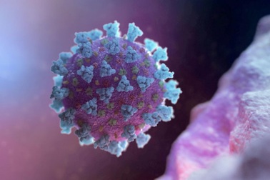 Chuyên gia cảnh báo bùng phát đại dịch tương tự Covid-19