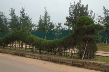 Mô hình Rồng tại Quảng Bình: Xấu vì chưa hoàn thiện